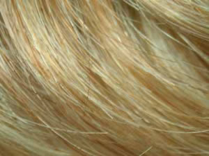 Light Golden Blonde