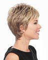 Pretty Short Pixie Wig by Hairdo