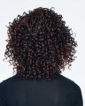 Sassy Curl Wig by Hairdo